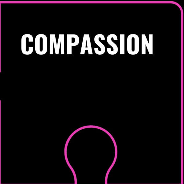 Compassion We maintain an ethos of care and kindness, giving a big welcome to all we work with.